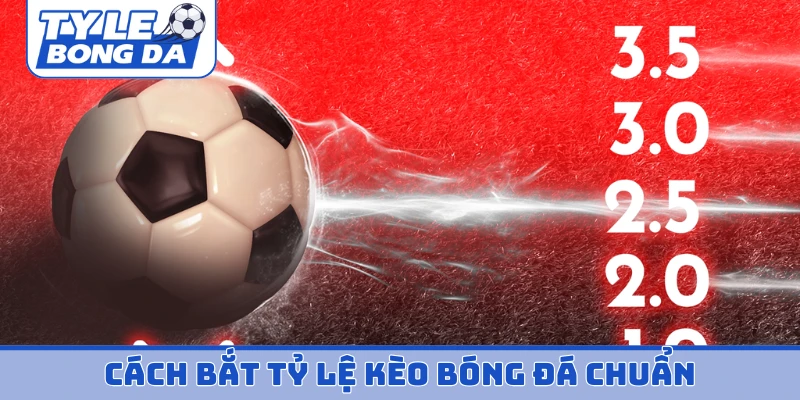 Cách bắt tỷ lệ kèo bóng đá chuẩn
